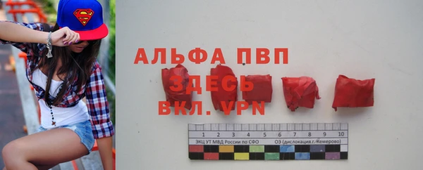 сатива Белокуриха