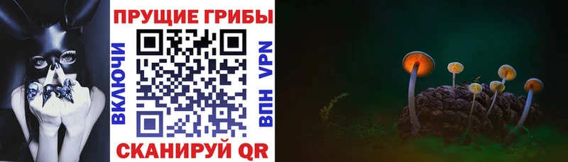 Псилоцибиновые грибы GOLDEN TEACHER  Дегтярск 