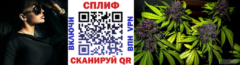 купить наркотики сайты  Дегтярск  Бошки марихуана ГИДРОПОН 